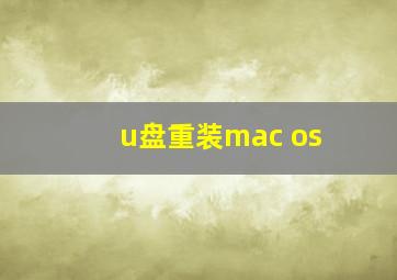 u盘重装mac os